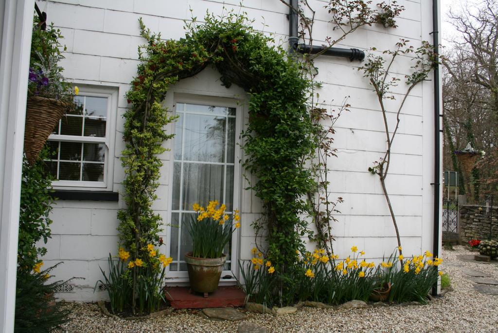 Clayhill House Bed & Breakfast Lyndhurst Exteriör bild
